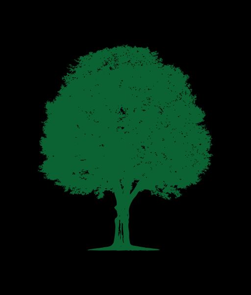 Highlands Tree Service, LLC